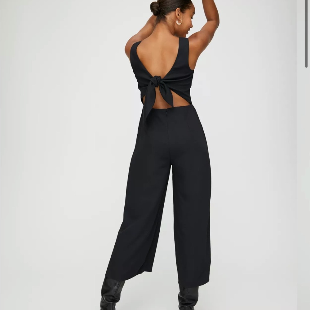 Aritzia Babaton Ecoulemont Jumpsuit